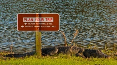 Plan Your Trip!