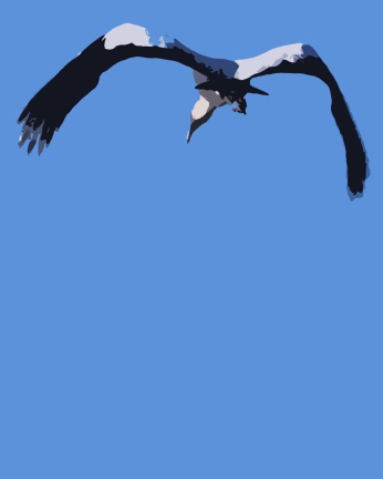2017.12.25 La Chua Trail Wood Stork Art 2